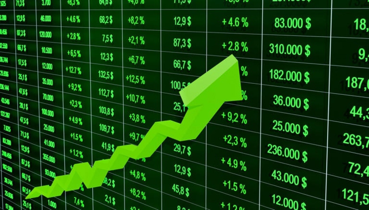 EVNFinance (EVF) có tân Tổng Giám đốc trong bối cảnh cổ phiếu EVF tăng 100% kể từ tháng 4