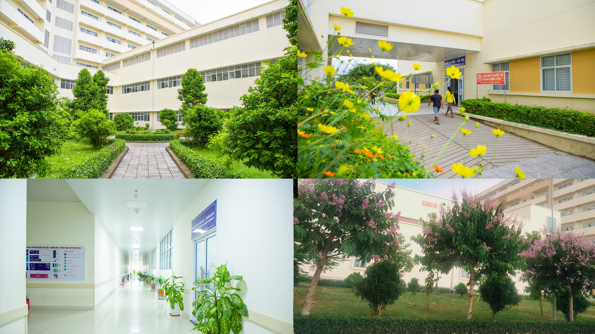 Mục sở thị bệnh viện tỉnh xanh sạch đẹp nhất Việt Nam vừa được Bộ Y tế công nhận- Ảnh 2.