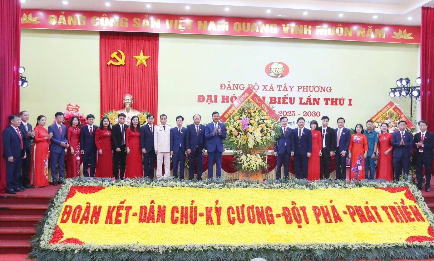 tay-phuong-8.jpg