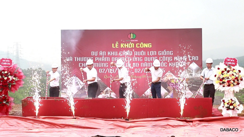 Phất lên nhờ giá heo hơi neo cao, đại gia chăn nuôi mở rộng đầu tư 800 tỷ đồng tại Quảng Ninh