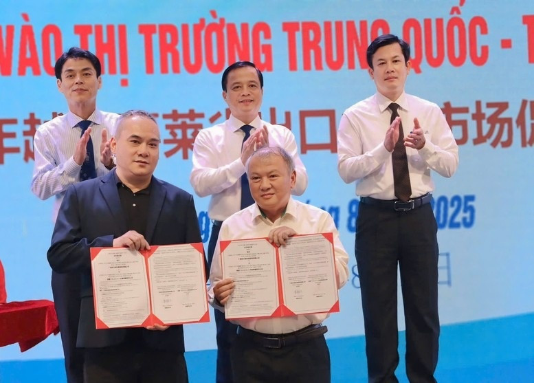 Gia Lai bắt tay một khu tự trị Trung Quốc để 'mở đại lộ' đưa nông sản Việt sang thị trường tỷ dân