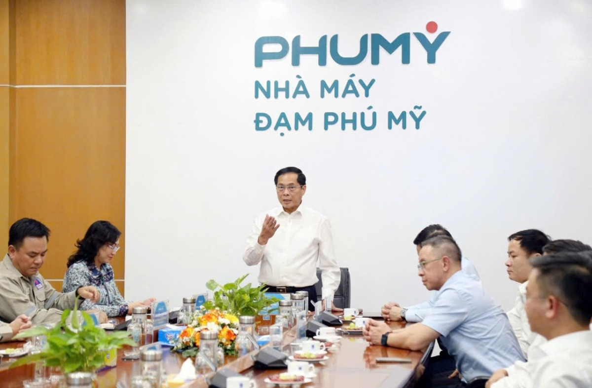 Phó Thủ tướng Bùi Thanh Sơn thăm nhà máy Đạm Phú Mỹ