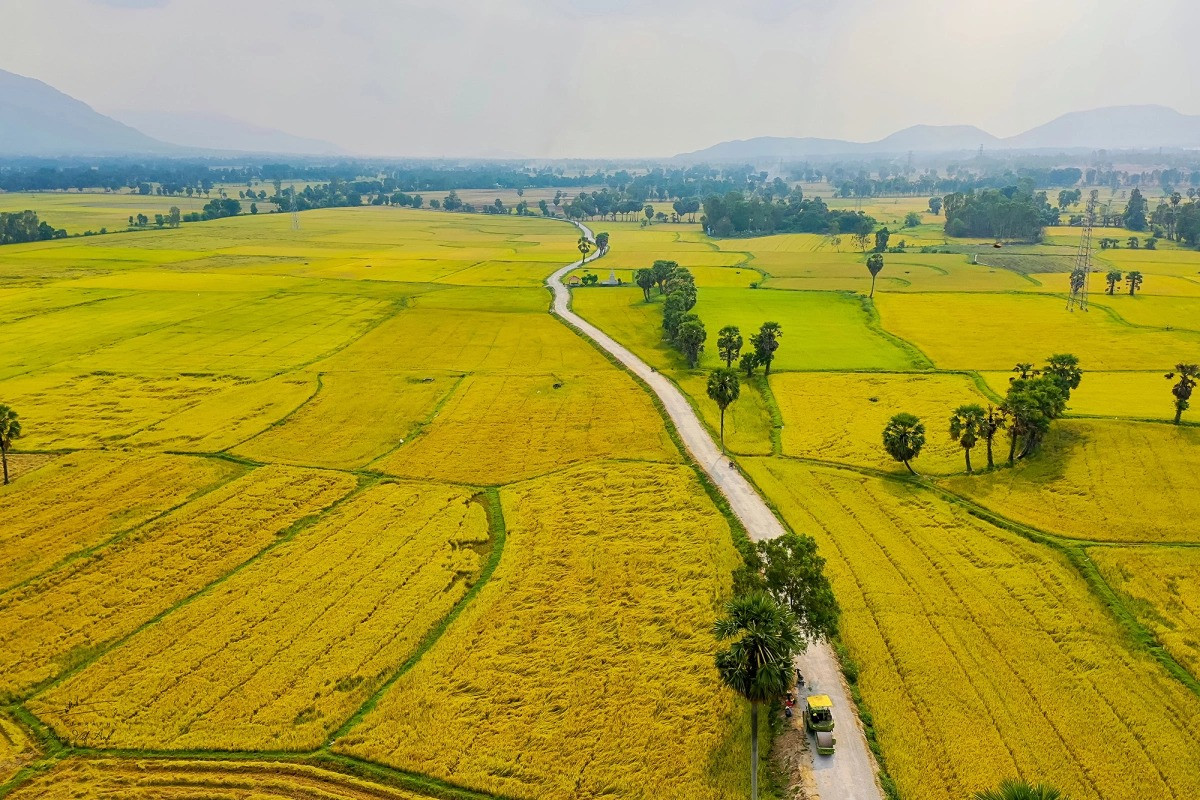 Từ nay, cần đáp ứng điều kiện này mới được chuyển đất nông nghiệp sang đất phi nông nghiệp- Ảnh 1.