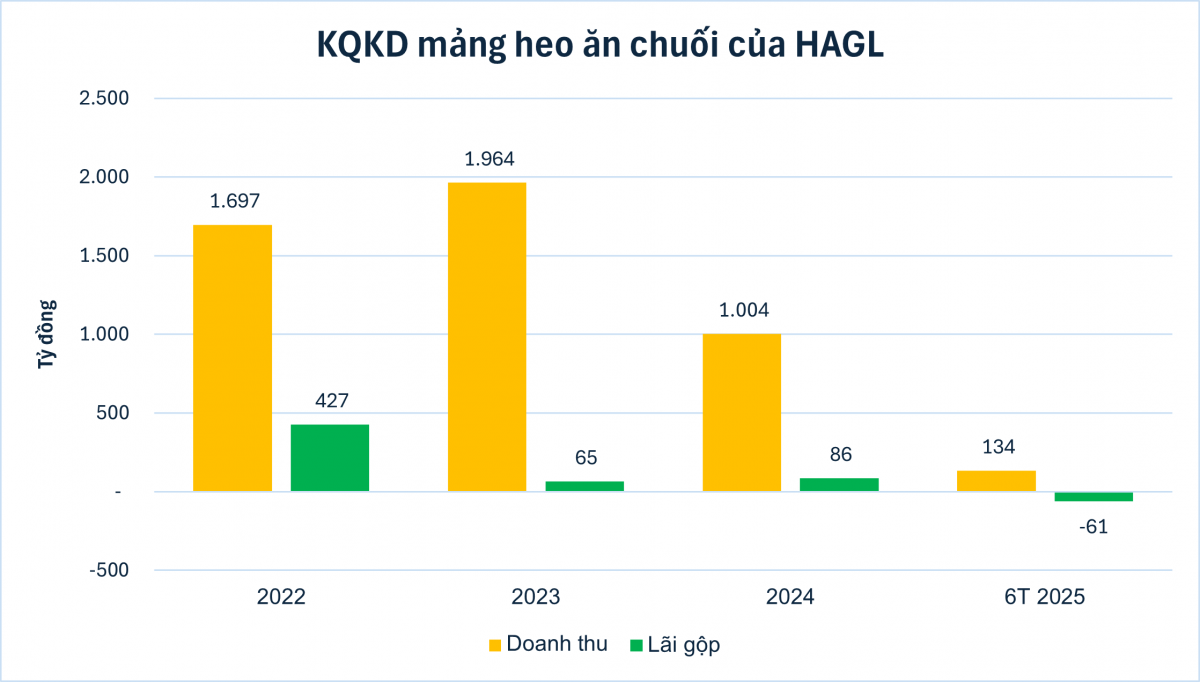 'Chân ái' heo ăn chuối của bầu Đức lỗ đậm