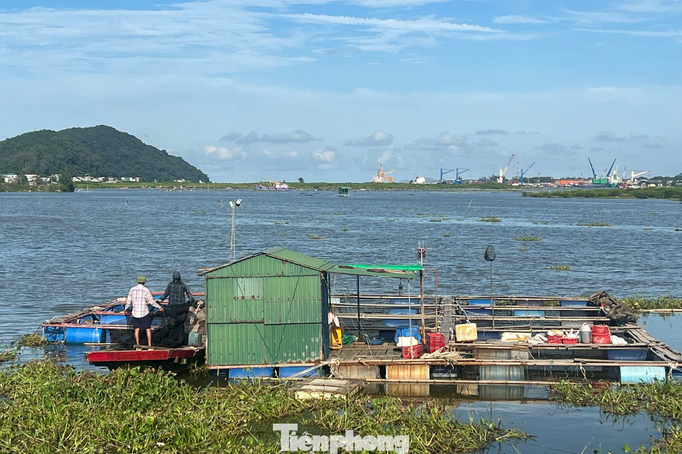 Đoàn thanh niên xã Trung Lộc, tỉnh Nghệ An giúp người dân gia cố lồng bè trước khi bão số 5 đổ bộ chiều 23/8 tp-9-9818.jpg