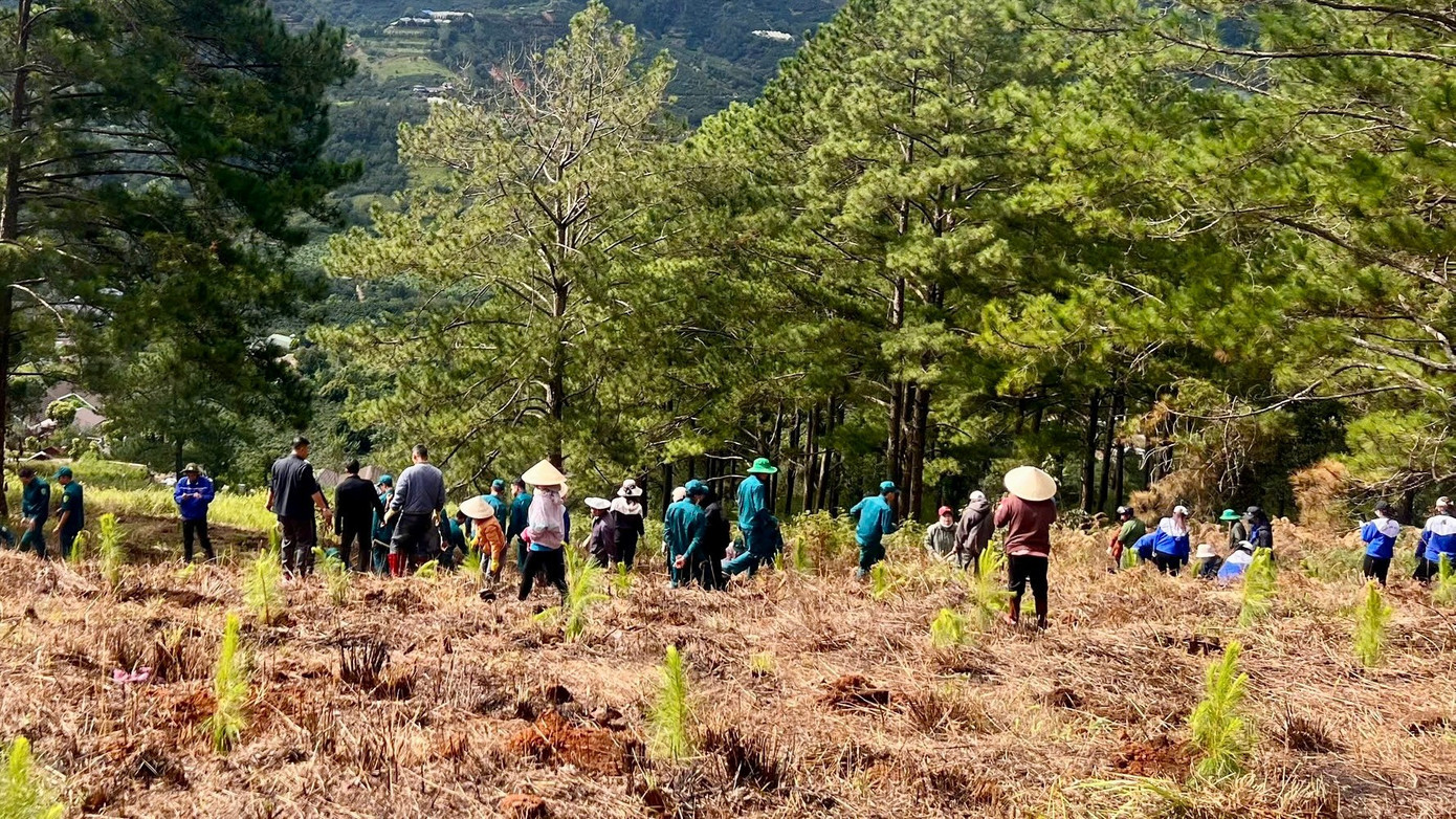 Lễ ra quân trồng cây tại phường Xuân Trường Đà Lạt gần 500 người tham gia. img-7231.jpg