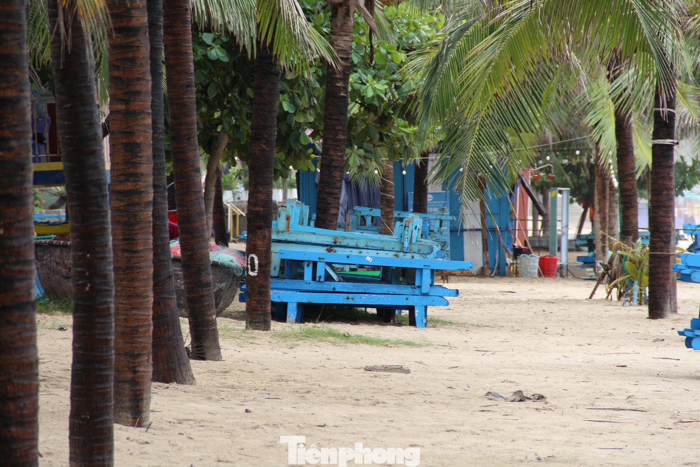 tp-da-nang-cam-tam-bien-22.jpg