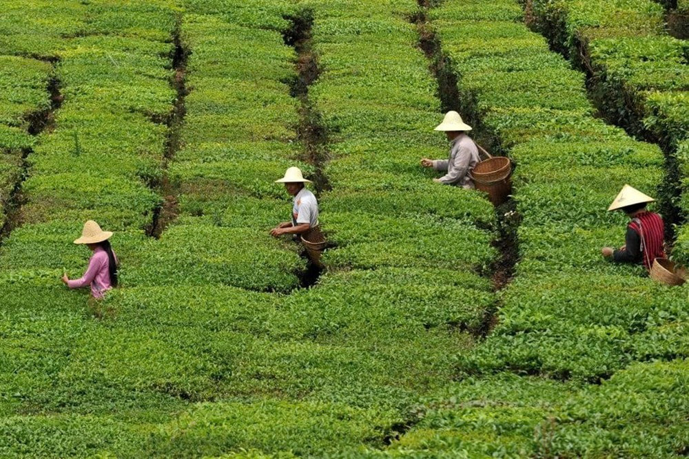 Loại tài sản từng sánh ngang BĐS nay mất giá hơn 80%, bong bóng ‘nổ tung’ giữa khủng hoảng ở nền kinh tế thứ 2 thế giới - ảnh 1
