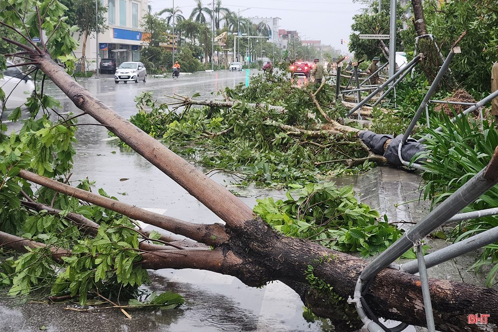 Hà Tĩnh sau bão số 5: Hơn 7.000 ngôi nhà bị hư hại, 10 người thương vong - ảnh 2
