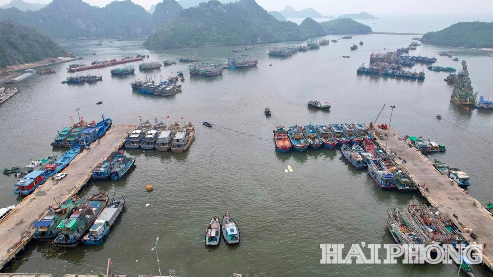 Khuyến khích giảm 50% giá phòng, hỗ trợ du khách bị kẹt lại do ảnh hưởng của bão số 5 - ảnh 1