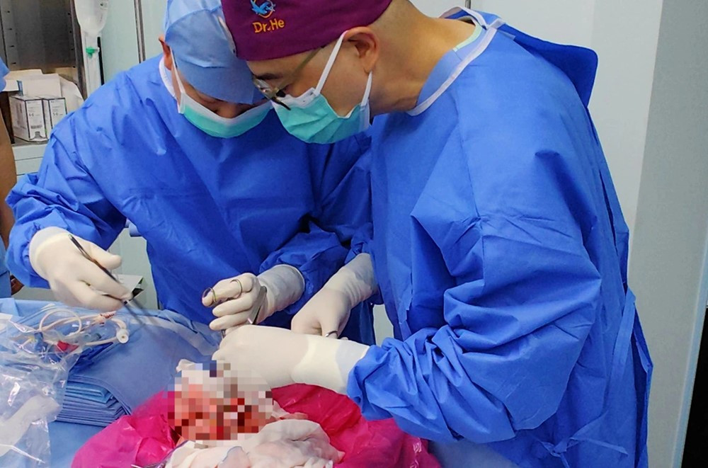 Lần đầu tiên thực hiện ghép phổi lợn cho người - ảnh 1