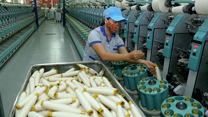 Sợi Thế Kỷ (STK) và 'cứu cánh' phía sau mức cổ tức hậu hĩnh 45% sắp trả cổ đông