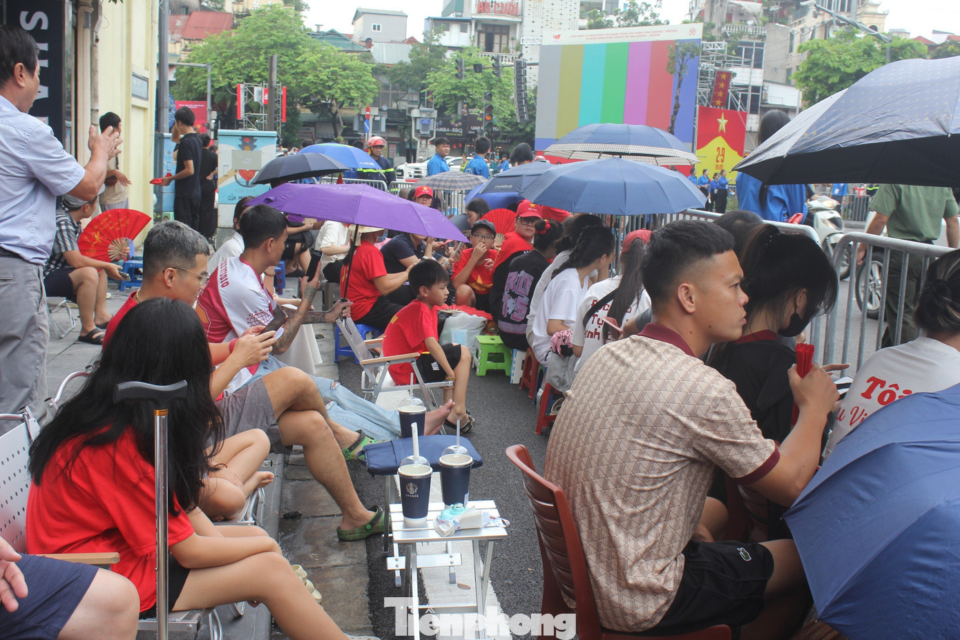 tp-cho-thue-ghe-xem-hop-luyen-a80-6.jpg