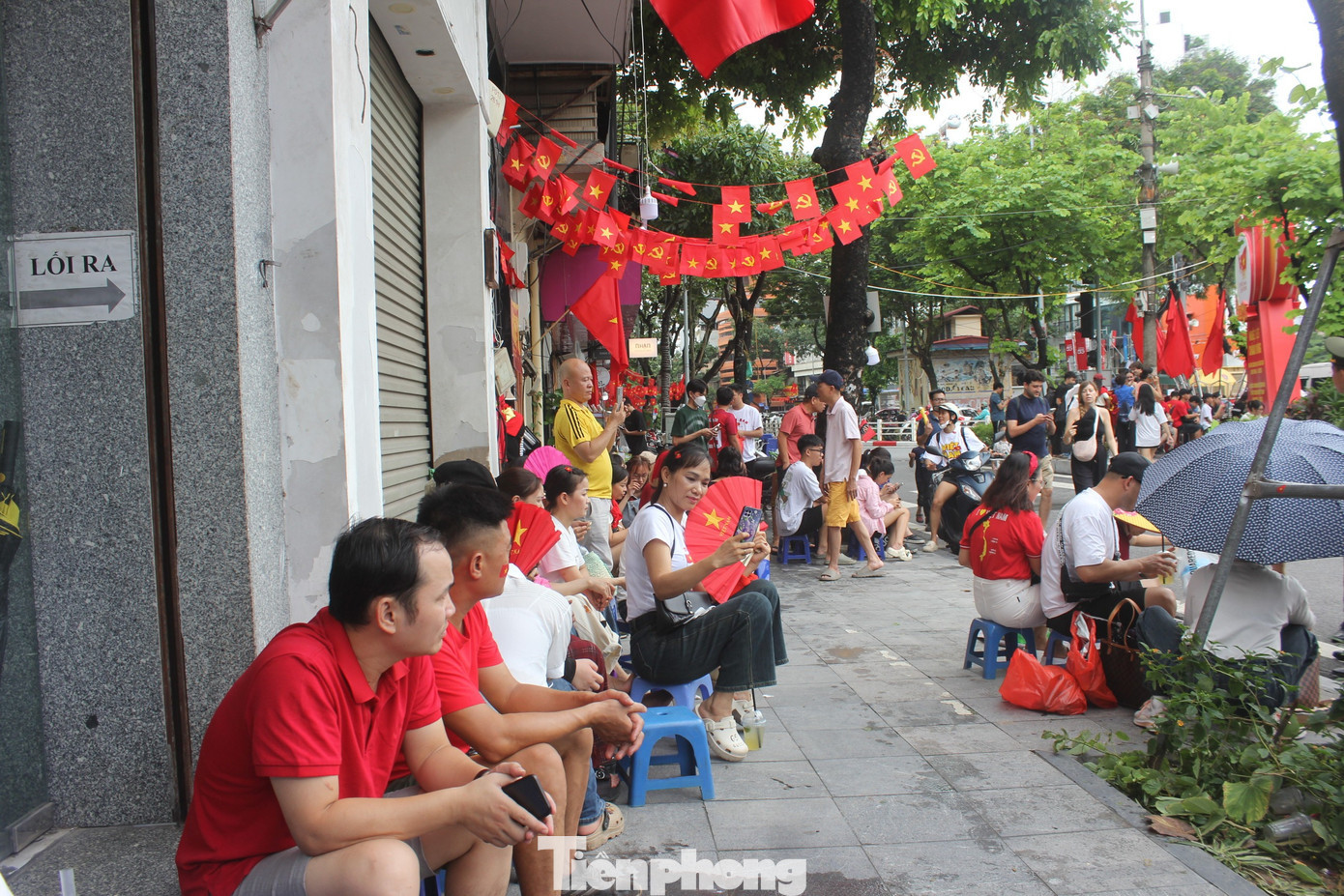 tp-cho-thue-ghe-xem-hop-luyen-a80-7.jpg