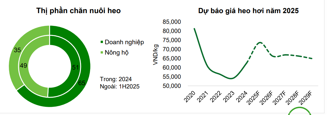 VCBS: Dabaco có thể lãi 2.000 tỷ nhờ giá heo và vắc xin ASF2, cổ phiếu khả năng tăng giá trên 50%