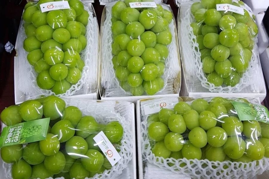 Loại trái cây 'quý tộc' tràn ngập siêu thị đổ đống và chợ online, giá rẻ không tưởng vì đâu?