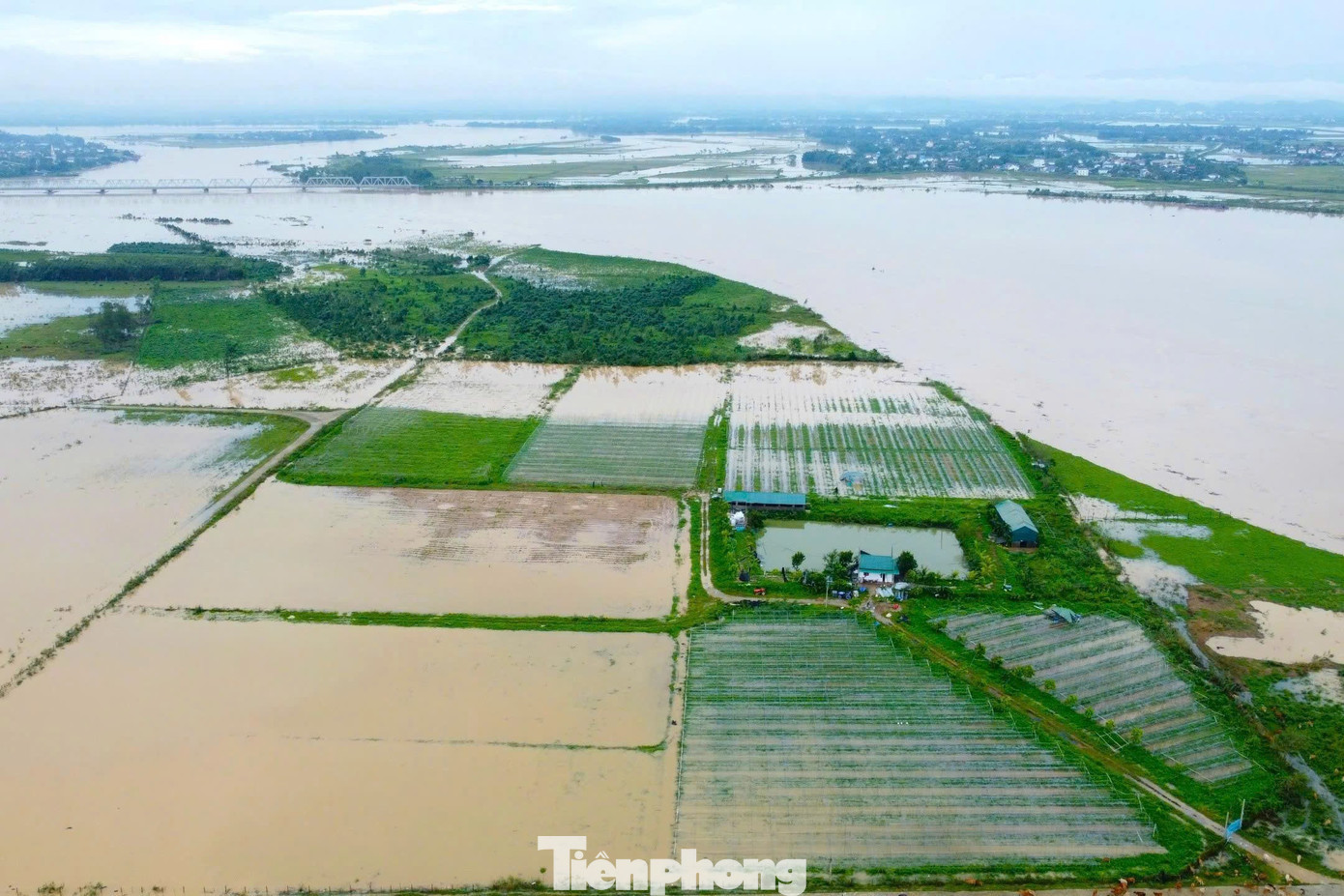 Bão số 5 đổ bộ vào Nghệ An kéo dài trong nhiều giờ đã gây thiệt hại nặng nề, trong đó lĩnh vực nông nghiệp bị ảnh hưởng nghiêm trọng. Nhiều mô hình sản xuất nông nghiệp công nghệ cao bằng nhà màng, nhà lưới bị đổ sập, tốc mái. tp-19-6690.jpg