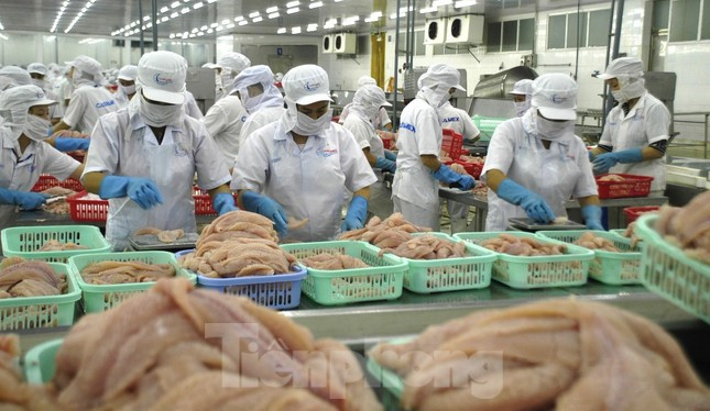 WB dự báo, GDP thực tế của Việt Nam sẽ tăng 5,8% trong năm 2025. 44.jpeg