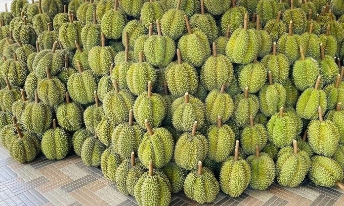 Trung Quốc mở ‘đường cao tốc’ cho sầu riêng Đông Nam Á, 10.000 container hàng cập bến chỉ sau 6 ngày