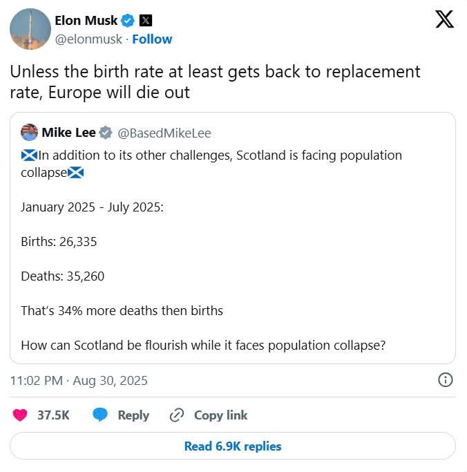 Elon Musk cảnh báo toàn bộ châu Âu sẽ ‘biến mất’ - ảnh 1