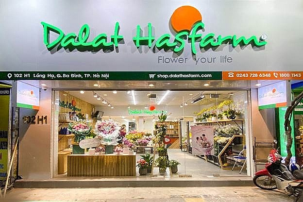 Dalat Hasfarm thâu tóm Tập đoàn Lynch với giá 4.500 tỷ, trở thành một trong những công ty hoa lớn nhất thế giới