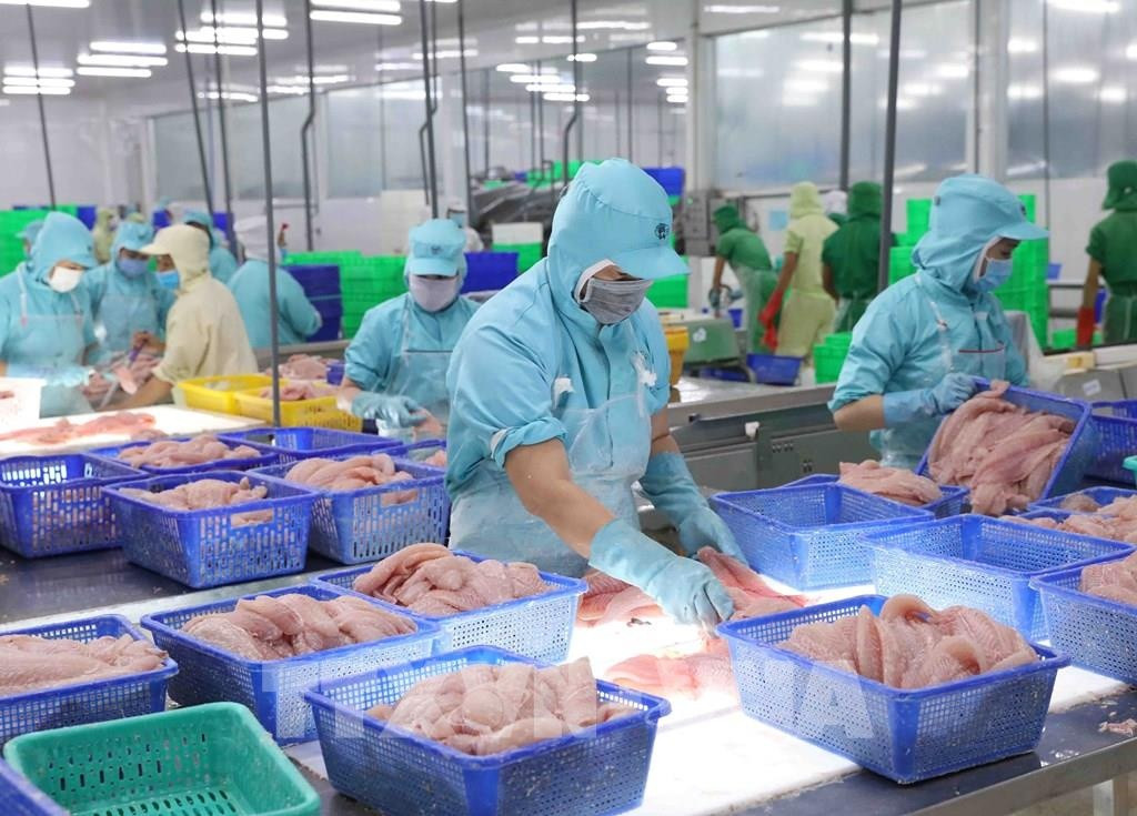 Không phải Mỹ hay Trung Quốc, đâu mới là điểm sáng bứt phá gần 40% của xuất khẩu nông sản Việt?