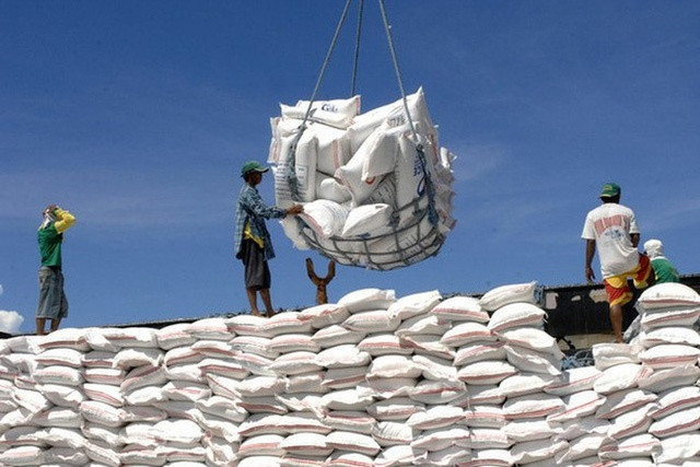 Thị trường gạo số 1 của Việt Nam tạm ngừng nhập khẩu giữa lúc nhiều doanh nghiệp lớn đang 'thoi thóp'