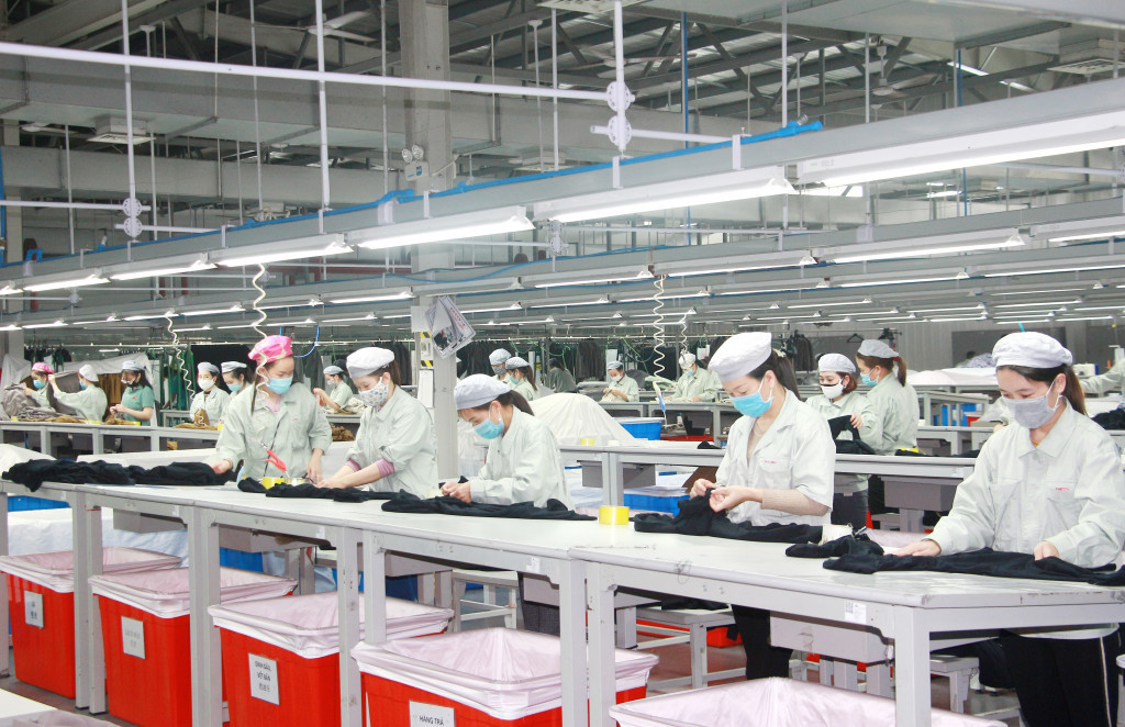 Số doanh nghiệp thành lập mới và quay lại thị trường tăng mạnh- Ảnh 2.