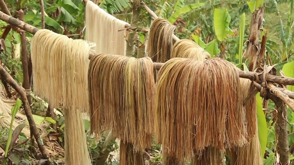 Việt Nam có nguồn kho báu vô tận 160 triệu tấn/năm, nhưng bấy lâu bị biến thành thức ăn cho lợn