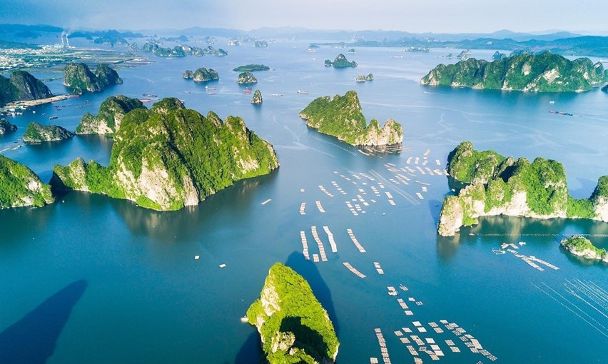 Một lĩnh vực của Việt Nam đang ‘vượt mặt’ Thái Lan, vươn lên vị trí hàng đầu Đông Nam Á - ảnh 1