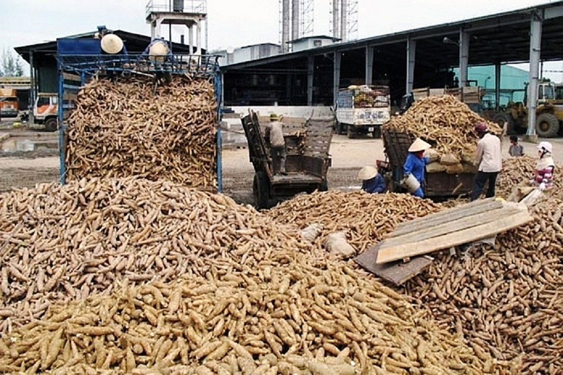 90% mặt hàng này của Việt Nam đang xuất sang Trung Quốc, doanh nghiệp tích cực tìm kiếm bạn hàng mới
