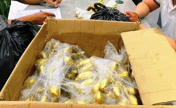 Bà T. đồng ý đổi nhẫn vàng lấy ‘cổ vật’, ngay sau đó mất trắng 5.000 USD: Công an lập tức vào cuộc, bắt gọn nhóm lừa đảo liên tỉnh - ảnh 2