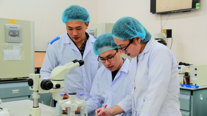 8 trường đại học có nhu cầu tuyển dụng quy mô lớn, thu nhập hàng trăm triệu mỗi tháng, được hỗ trợ đầu tư phòng thí nghiệm với kinh phí tối đa 30 tỷ đồng - ảnh 1