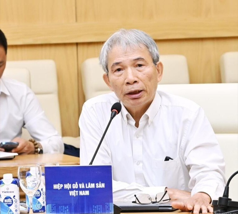 Ông Ngô Sỹ Hoài - Phó Chủ tịch kiêm Tổng Thư ký Hiệp hội gỗ và lâm sản Việt Nam. Ảnh: BCT. hoi-nghi-3-12252685-6110.jpg