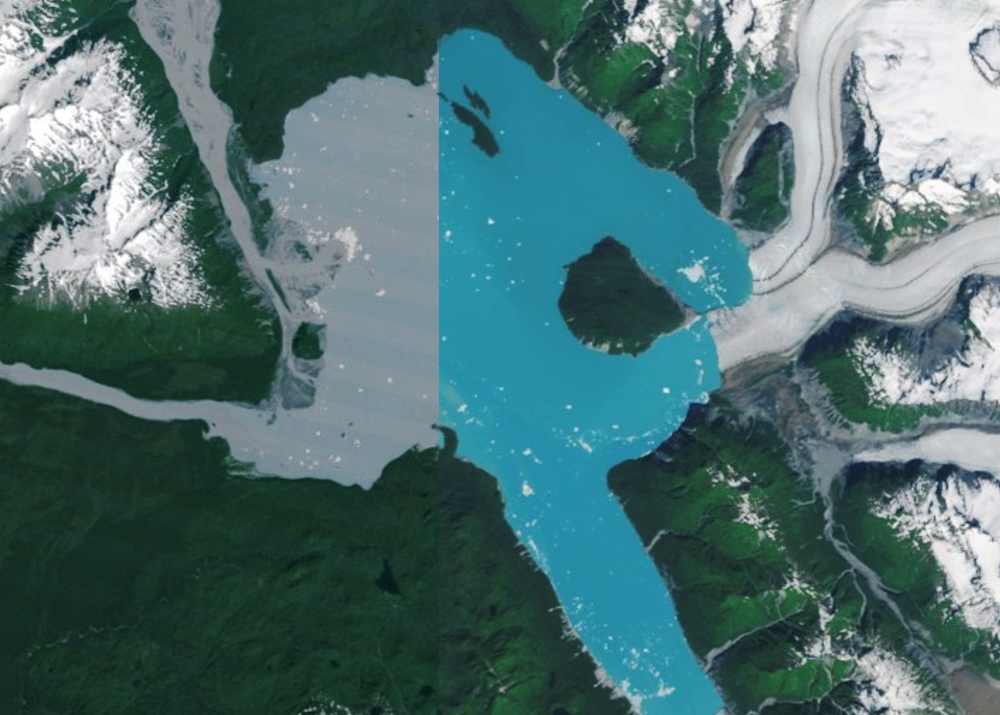 Bí ẩn hòn đảo trồi lên từ băng tan ở Alaska, NASA lên tiếng cảnh báo - ảnh 1