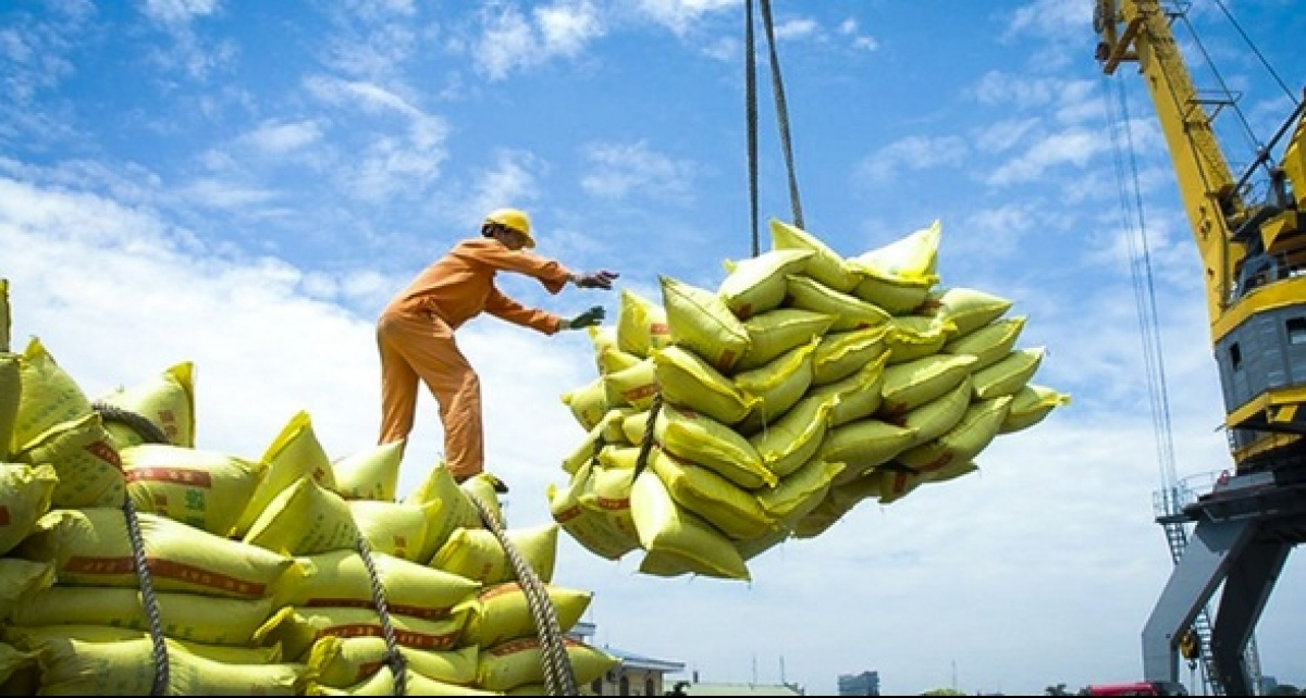 Philippines ra lệnh tạm ngừng nhập khẩu gạo, Chủ tịch công ty có doanh thu 27.000 tỷ nói 'không đáng lo ngại'