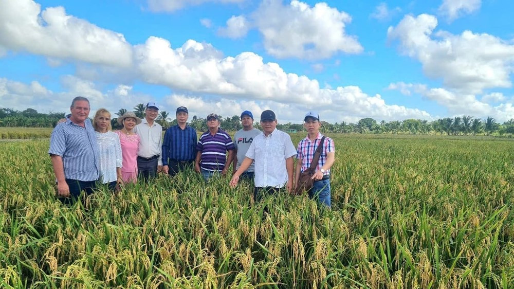 Chuyên gia Việt Nam đầu tiên vượt nửa vòng Trái Đất, sang Cuba trồng lúa - ảnh 3