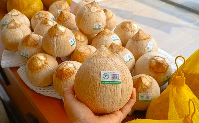 Dừa nội địa cháy hàng, Việt Nam nhập khẩu tăng 20 lần