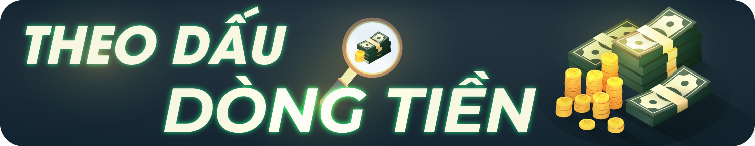 Theo dấu dòng tiền