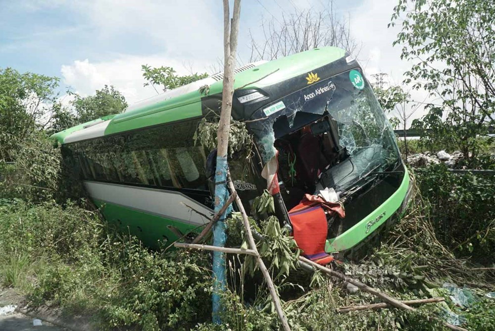 Cục CSGT có đề xuất mới liên quan việc trồng cây xanh ở dải phân cách cao tốc - ảnh 2