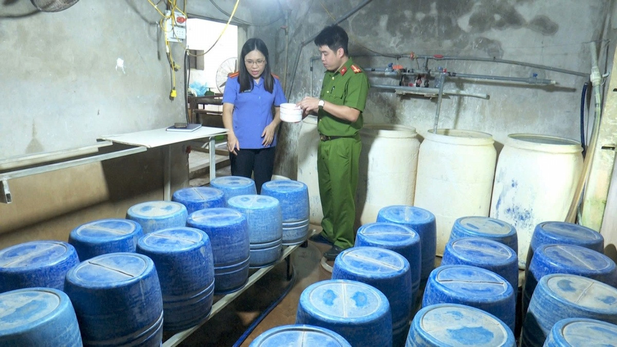 Đột kích xưởng sản xuất giá đỗ, Công an phát hiện 1,4 tấn giá đang được ‘tắm’ trong ‘nước kẹo’ giúp phát triển thần tốc