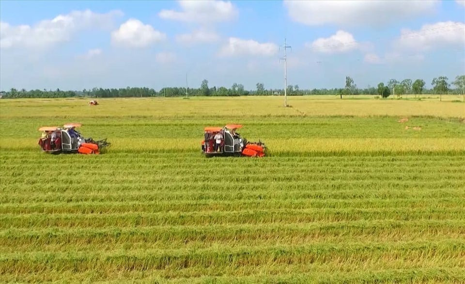 Tổng Bí thư: Luật Đất đai sửa đổi phải đảm bảo phương án xử lý căn cơ, đồng bộ- Ảnh 2.