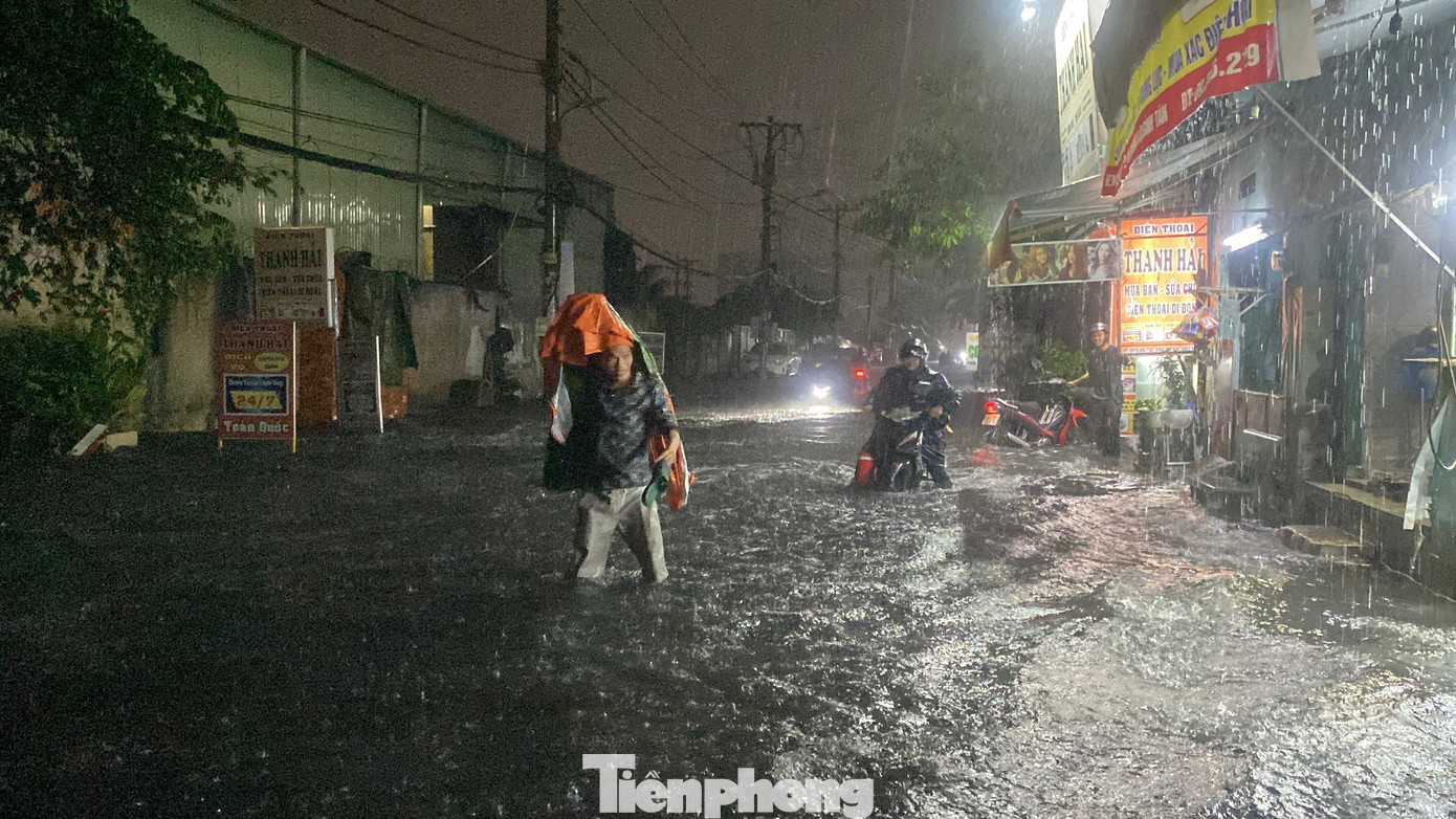 tp-sinco1021020.jpg