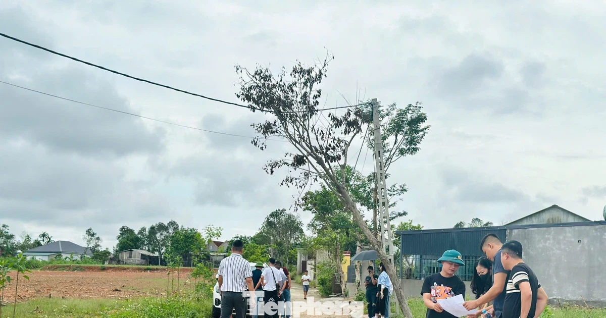 'Thổi giá', gom đất, phân lô bán nền tràn lan sau công bố quy hoạch