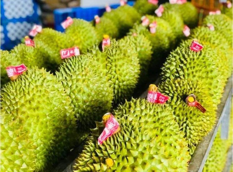 Một ngành hàng của Việt Nam công bố con số kỷ lục gần 1,3 tỷ USD, Trung Quốc có đóng góp lớn