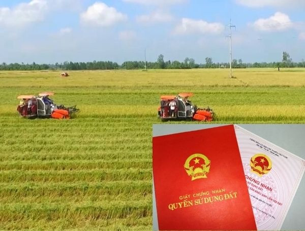 Từ giờ, chuyển đổi đất nông nghiệp không đủ điều kiện đối diện hậu quả thế nào?- Ảnh 1.