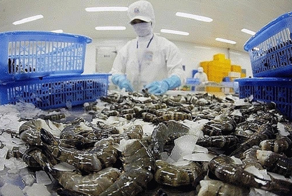 Việt Nam sở hữu 'sản vật tỷ đô' được châu Âu săn lùng không ngớt: Mang về 376 triệu USD từ đầu năm