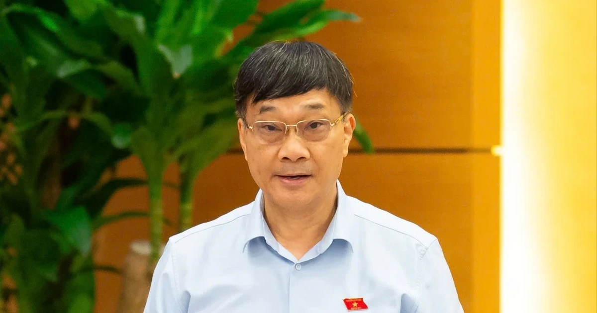 Phó Chủ tịch Quốc hội: 'Anh em rất sợ, từ thái cực này dễ chuyển sang thái cực kia...'