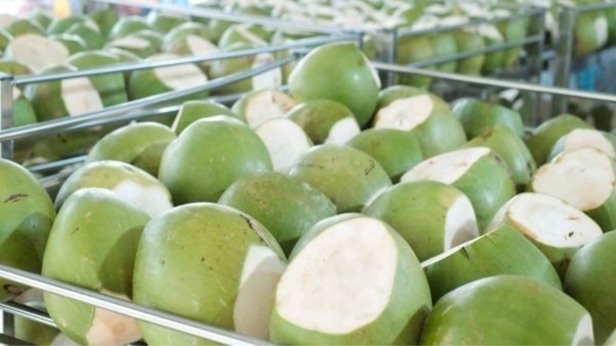 Vượt Trung Quốc, Mỹ chi hơn 2.100 tỷ để nhập một 'sản vật' của Việt Nam, hơn 40 quốc gia tranh nhau đặt hàng