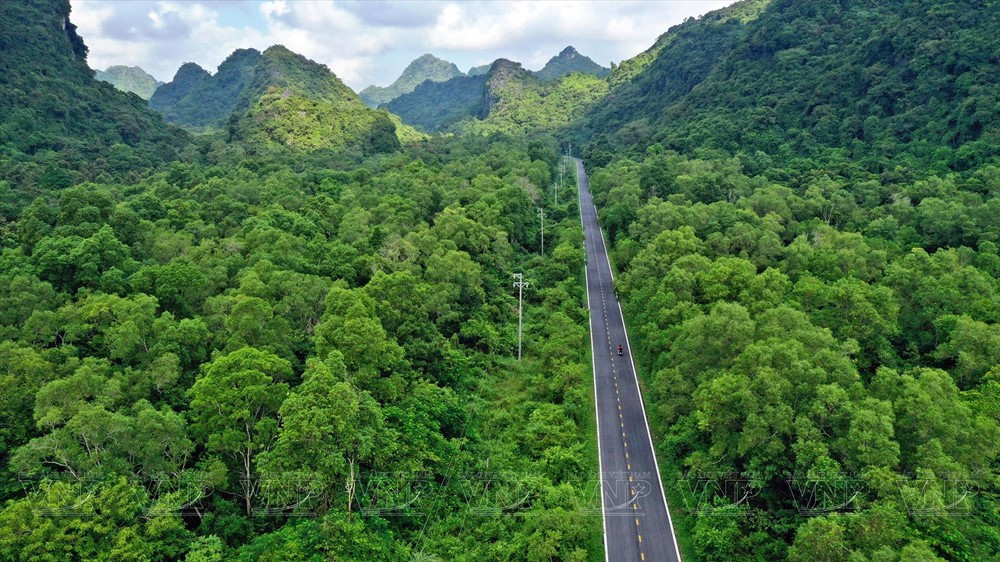 Tạp chí du lịch nước ngoài gợi ý 8 cung đường trekking khám phá vùng nông thôn Việt Nam - ảnh 5